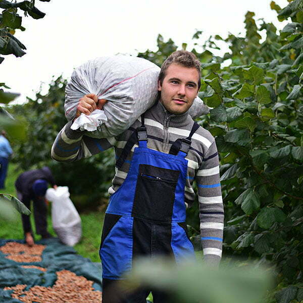 lesnik-proizvodnja-3