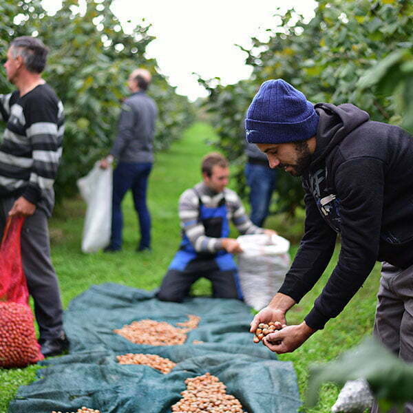 lesnik-proizvodnja-4