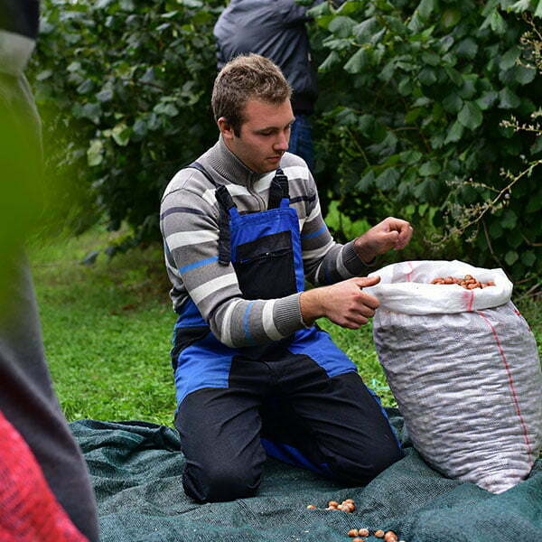 lesnik-proizvodnja-5