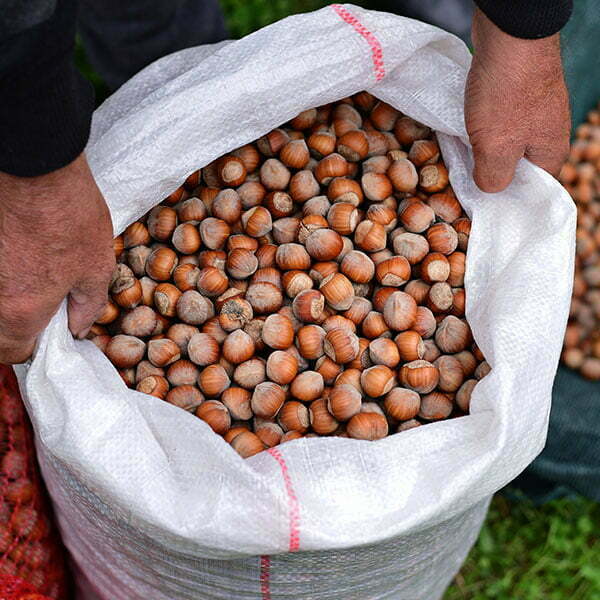 lesnik-proizvodnja-6