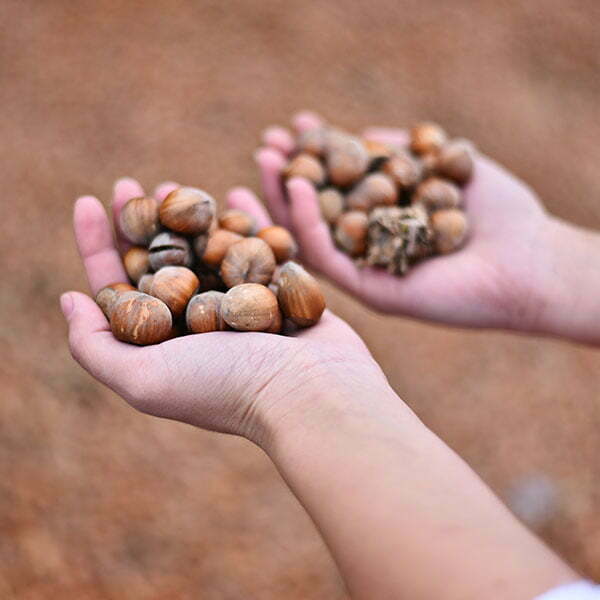 lesnik-proizvodnja-7