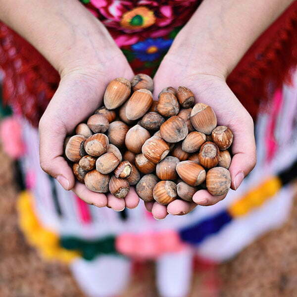 lesnik-proizvodnja-8