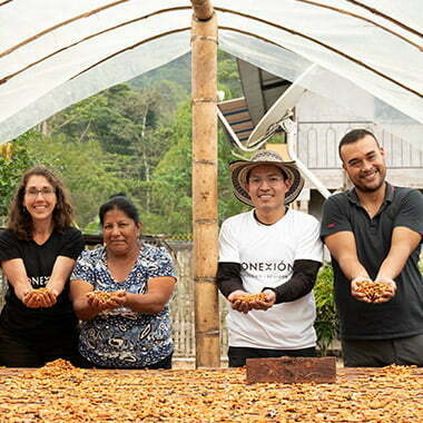 kakao-proizvodnja-radnici
