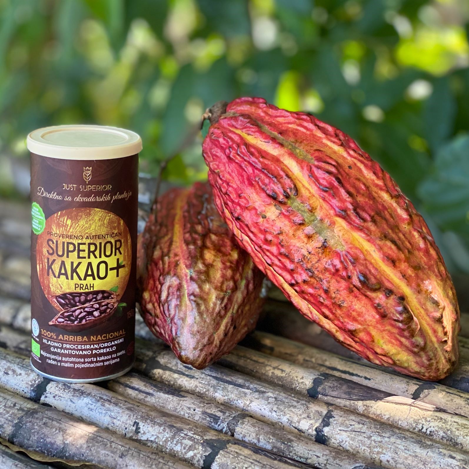 organski-sirovi-kakao-arriba-nacional