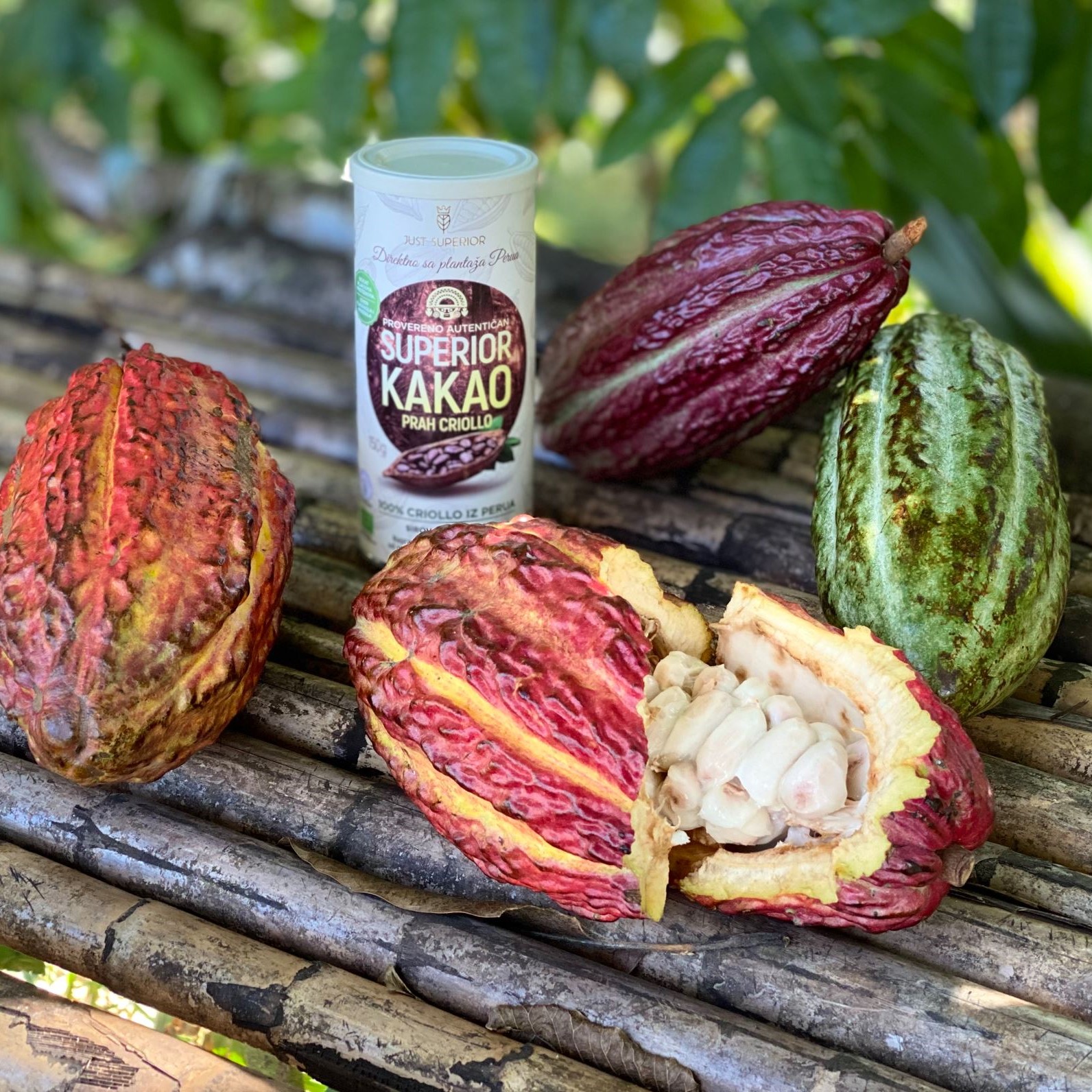 organski-sirovi-kakao-criollo-just-superior