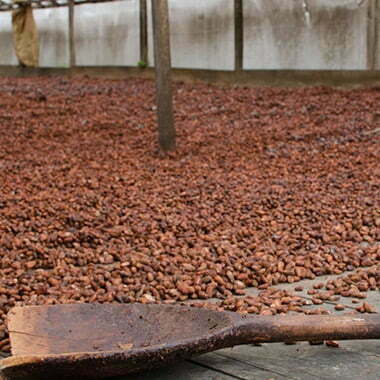 proizvodnja-kakao-prah