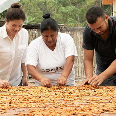 provera-kvaliteta-kakao