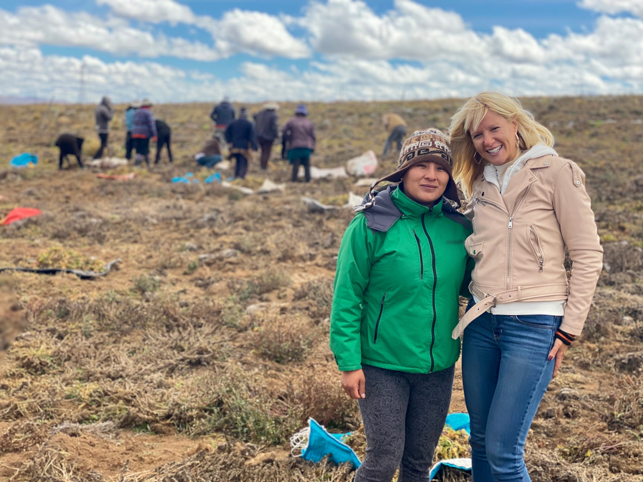 Just Superior sa saradnicima na Andima (4200m nadmorske visine) u pozadini žetva peruanske make