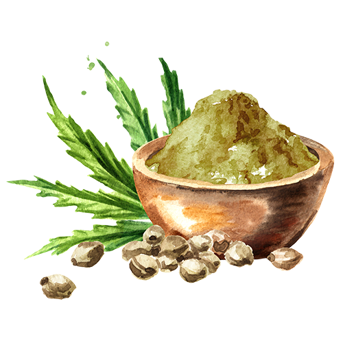 konoplja-prah-vektor