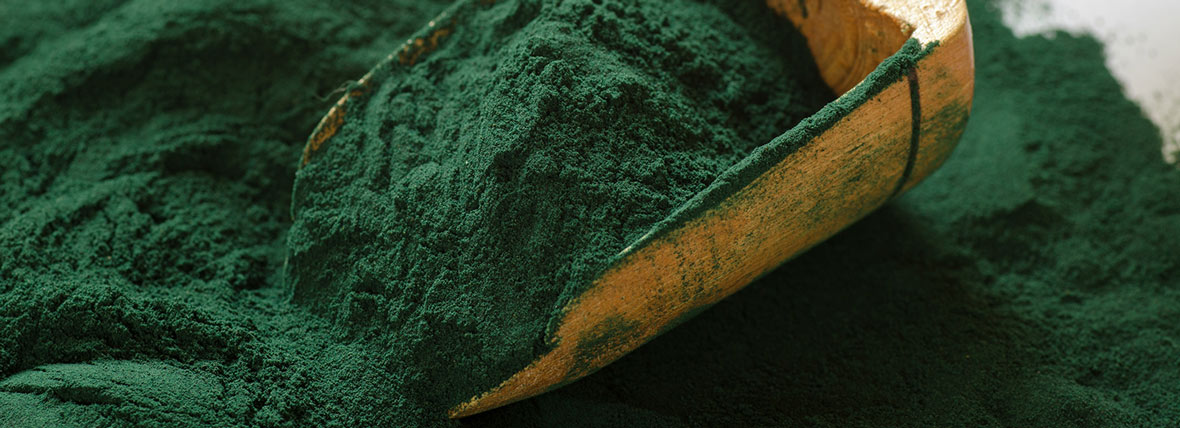 spirulina-pozadina