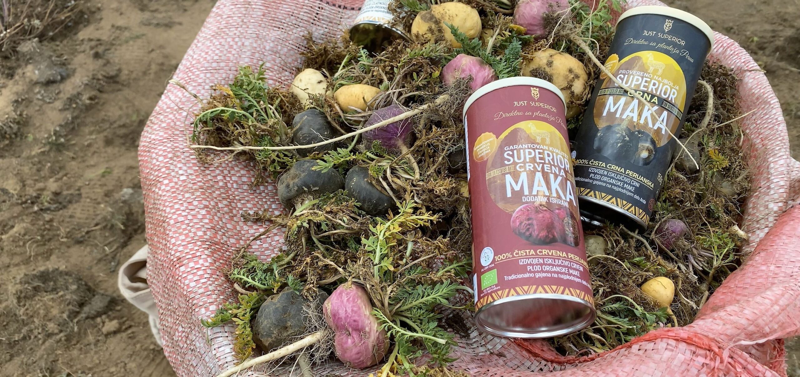 crna-i-crvena-maka-i-plodovi-plantaze-superior-make-andi-2022