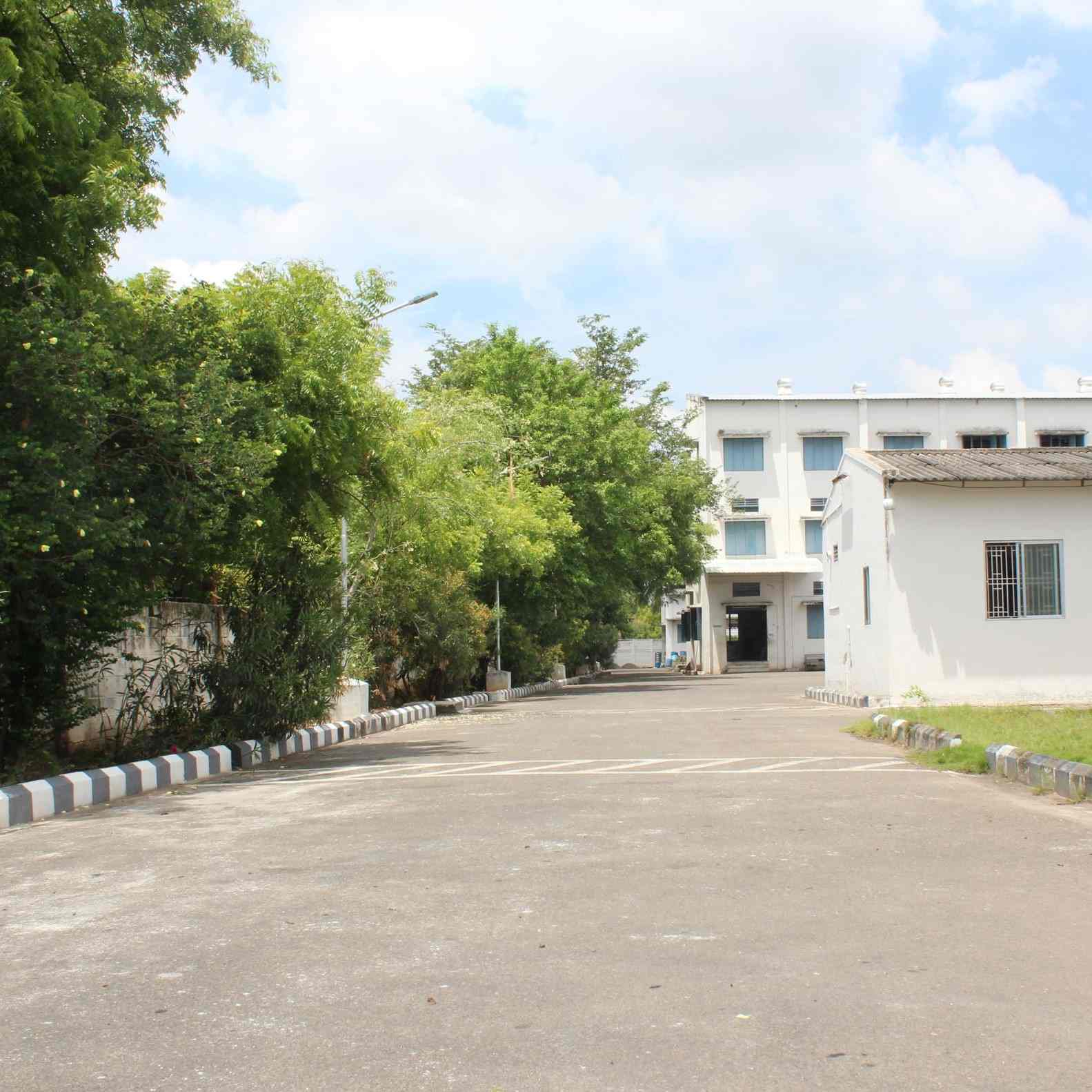 fabrika-indija-moringa-superior