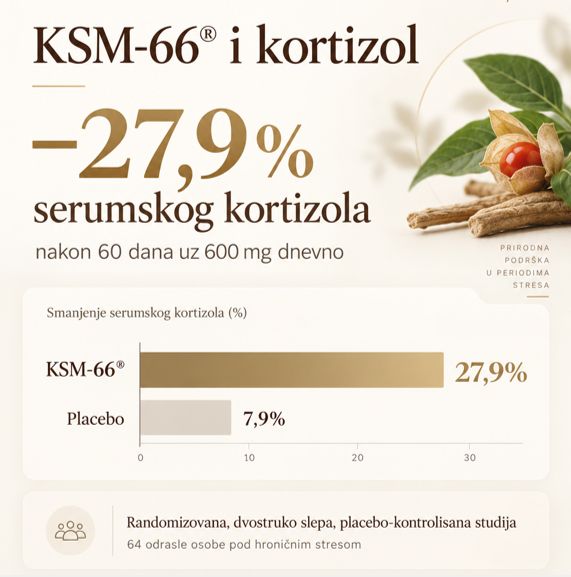 Asvaganda-kapsule-KSM66