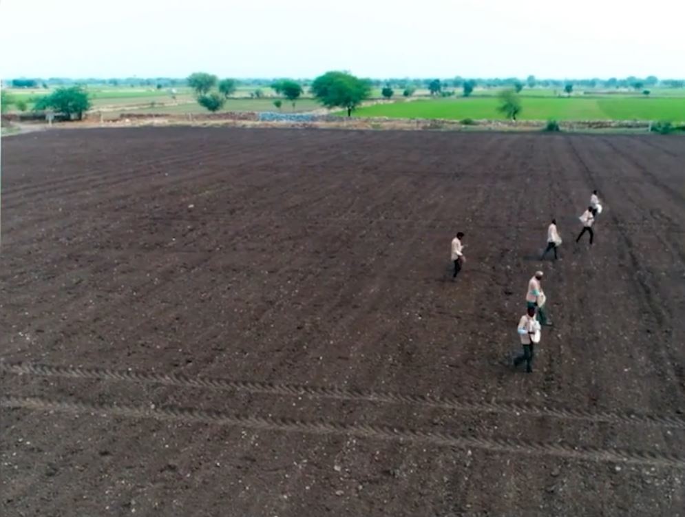 superior-KSM66-plantaze-sejanje-semena1