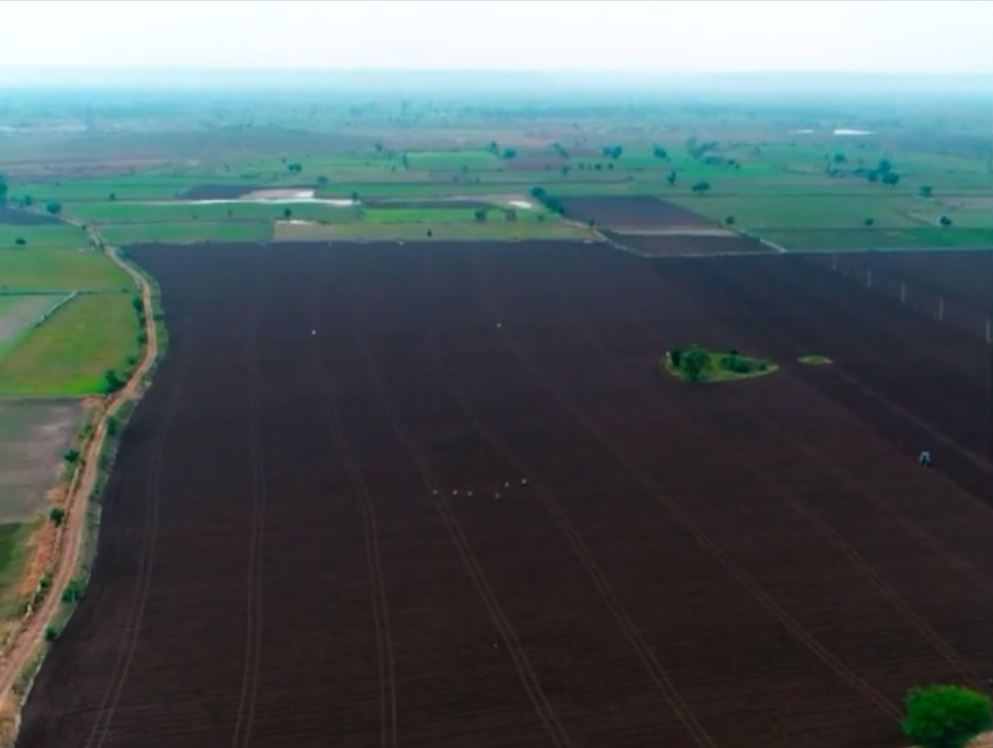 superior-KSM66-plantaze1