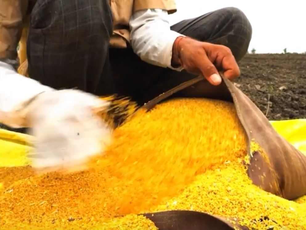 superior-KSM66-plantaze2