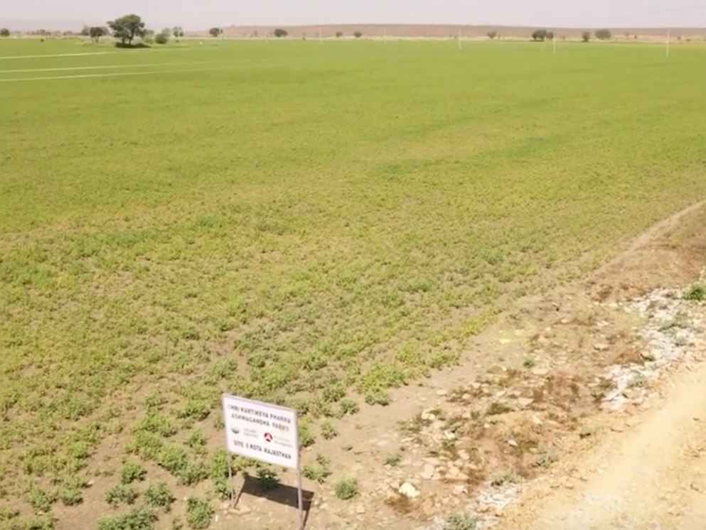 superior-KSM66-plantaze4